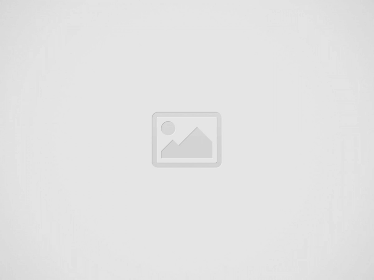 Elfino's Blog